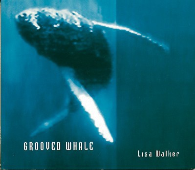 Grooved Whale