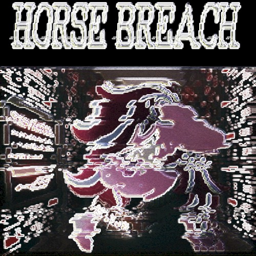 HORSE BREACH