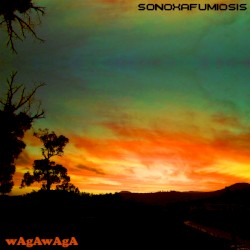 sonoxafumiosis