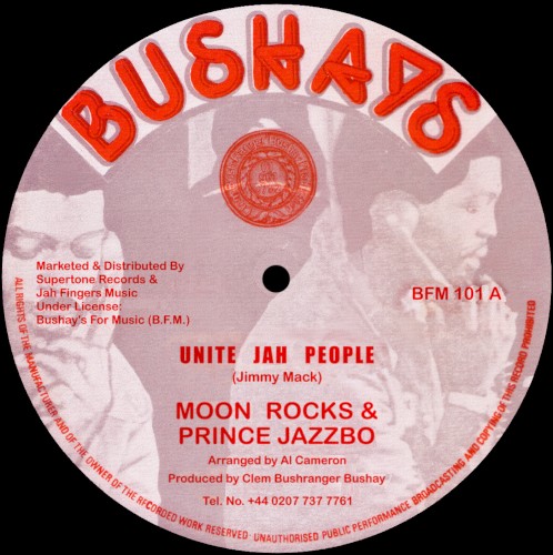 Unite Jah People / Have No Fear