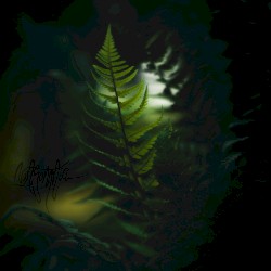 Liquid Shadows