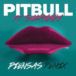 Piensas (Dile la verdad) (remix)