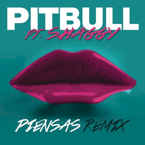 Piensas (Dile la verdad) (remix)