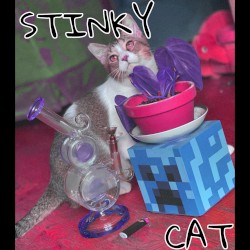 STINKY CAT