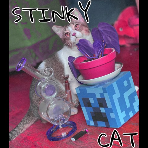 STINKY CAT