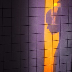 Self reflections: