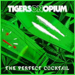 The Perfect Cocktail