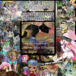 Dj Bamberino / ･ﾟ✧(=✪ ᆺ ✪=) - ･ﾟ✧