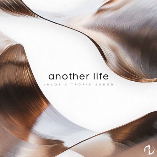 Another Life