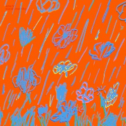 雨と