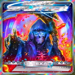 Mind Splitter