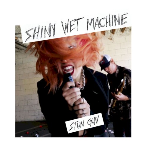 Stun Gun