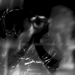 lead dreams/flayed so light