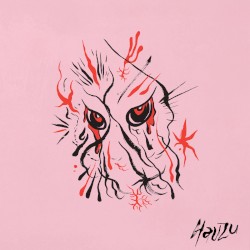 Hauzu