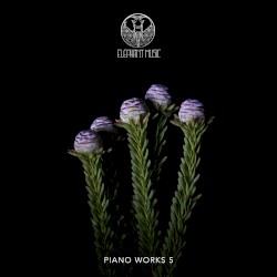Piano Works 5