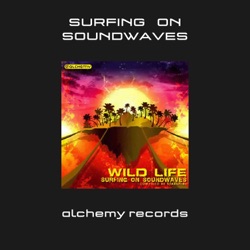 Wild Life - Surfing On Soundwaves