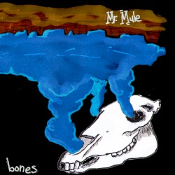 Bones