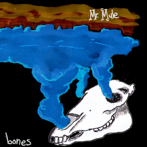 Bones