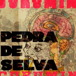 Pedra de Selva