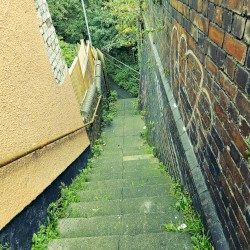 A Hidden Path