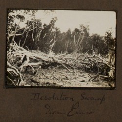 Desolation Swamp