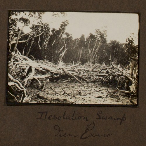 Desolation Swamp