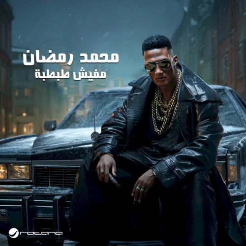 مفيش طبطبة