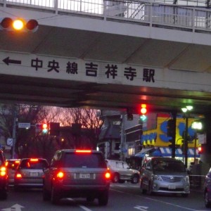 Holga
