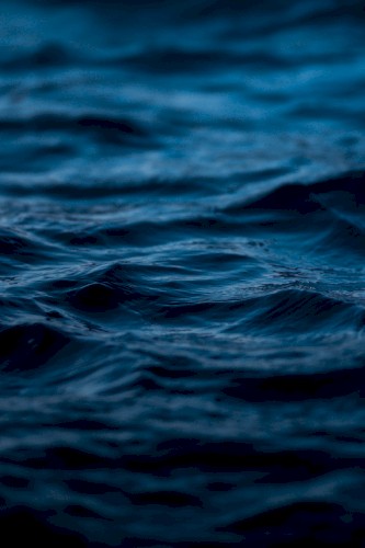 All Day I Dream About Water