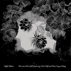 Night Bloom