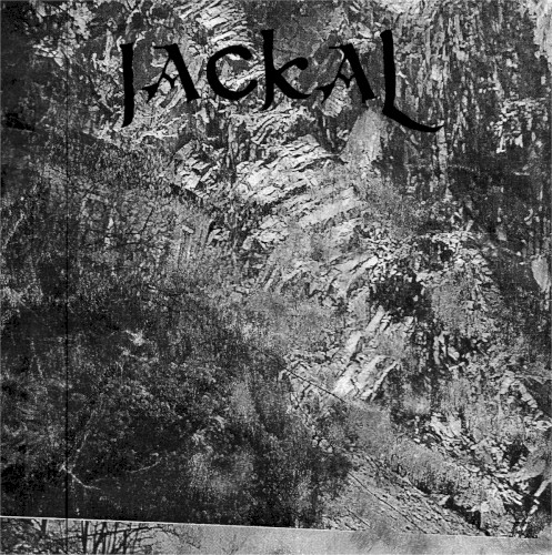 Jackal
