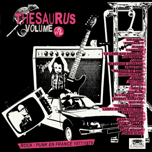 Thesaurus, Vol.2 : Rock / Punk en France 1977 / 1979