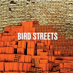 Bird Streets