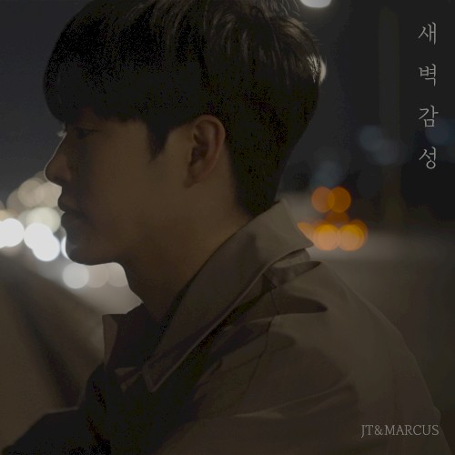 새벽감성