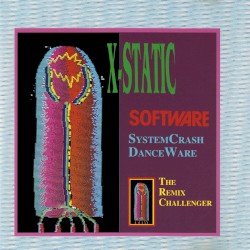 Software System Crash
