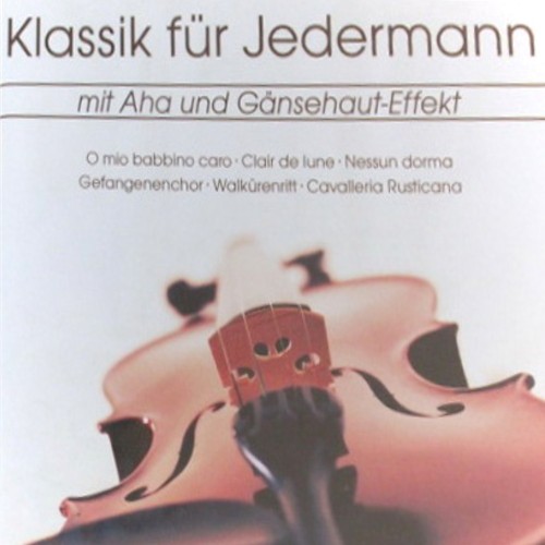 Klassik für Jedermann∶ Mit Aha und Gänsehaut-Effekt