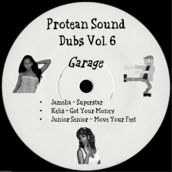 Protean Sound Dubs Vol. 6 (Garage)