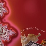 Caterina Flavor
