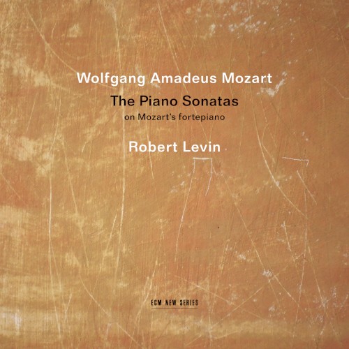 The Piano Sonatas
