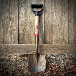 Down In The Ground