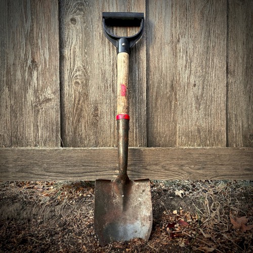 Down In The Ground