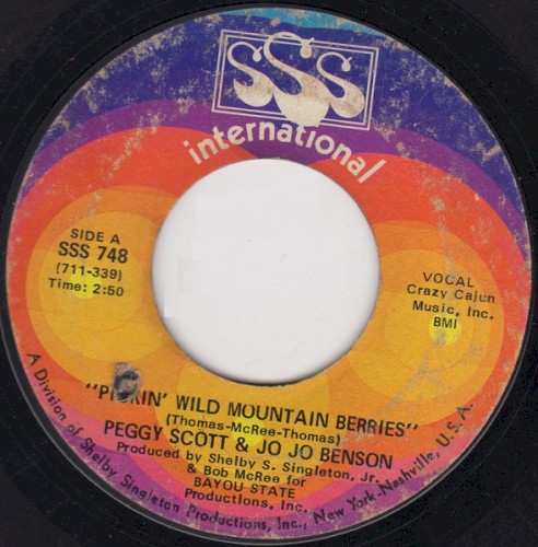 Pickin' Wild Mountain Berries