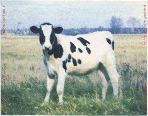 Atom Heart Moo Live