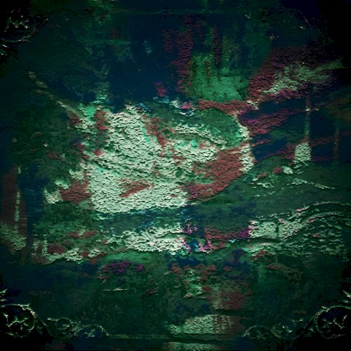 Hymn of the Alligators