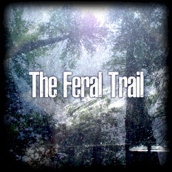 The Feral Trail