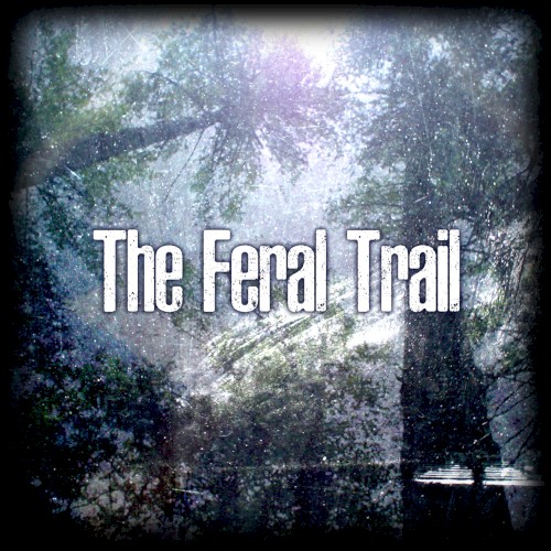 The Feral Trail