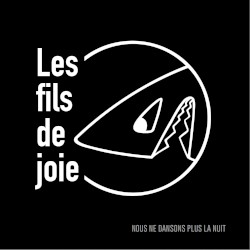 Nous ne dansons plus la nuit (Vinyle & Bonus)