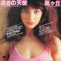 嘆きの天使 / 嵐ヶ丘