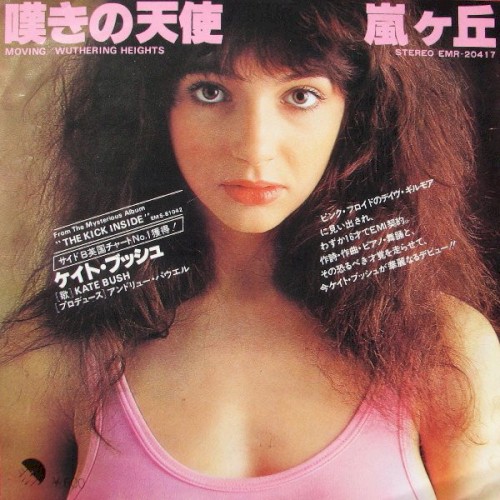 嘆きの天使 / 嵐ヶ丘