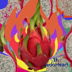 1h